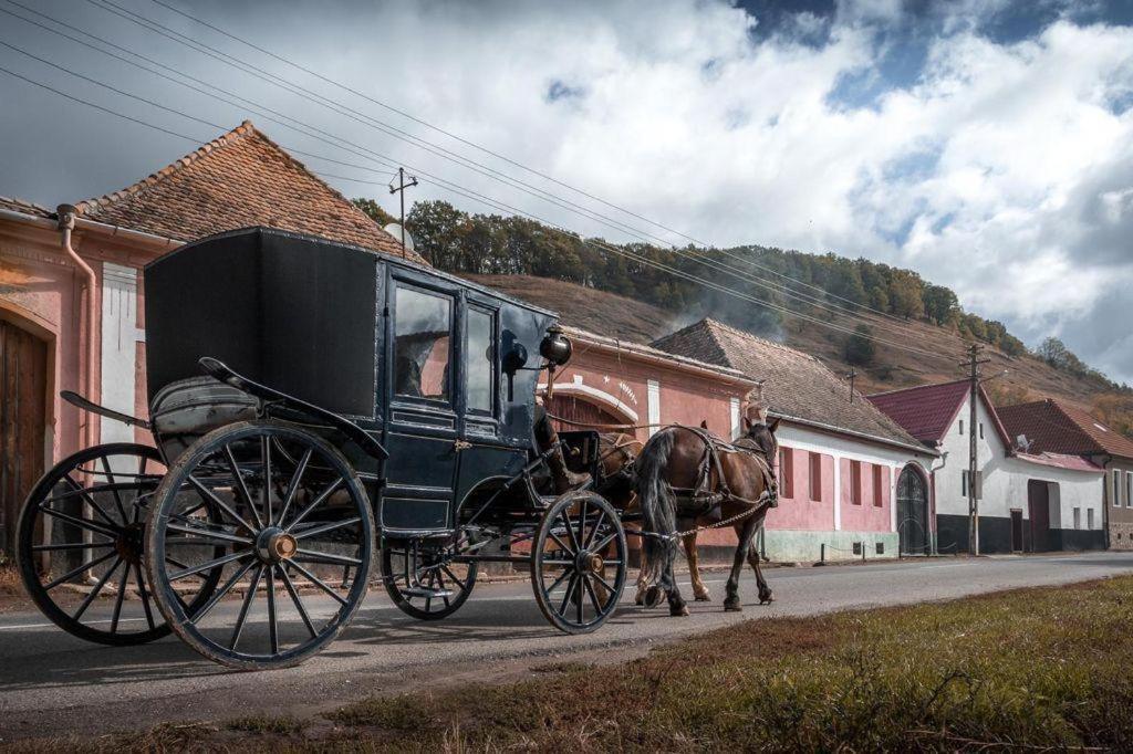 Valea Verde Retreat Transilvania Cund Esterno foto