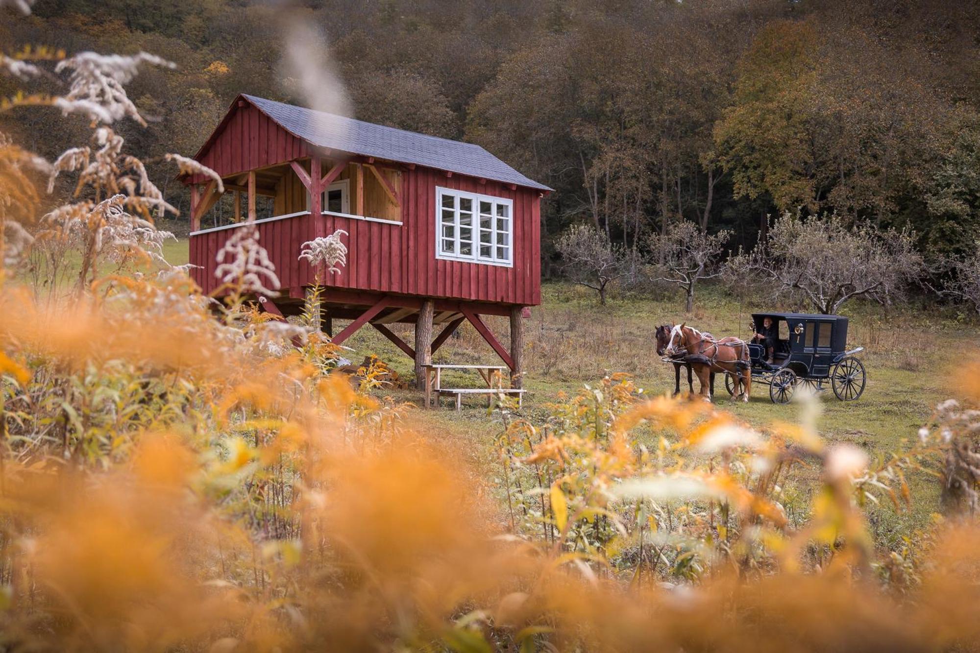 Valea Verde Retreat Transilvania Cund Esterno foto